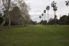 Enlarge photo 39