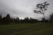 Rancho Park Golf Course