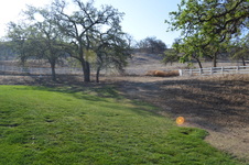Enlarge photo 28