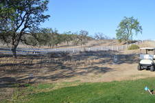 Enlarge photo 30