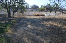 Enlarge photo 31