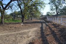 Enlarge photo 32