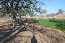 Enlarge photo 34