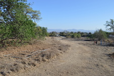 Enlarge photo 37