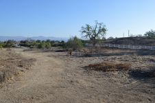 Enlarge photo 39