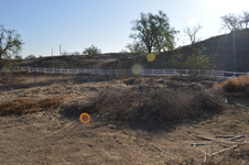 Enlarge photo 40
