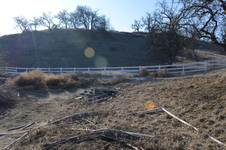 Enlarge photo 41