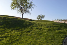 Enlarge photo 46
