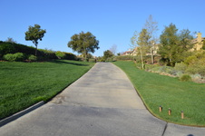 Enlarge photo 53