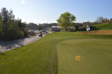 Enlarge photo 79