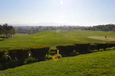 Enlarge photo 80