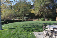 Enlarge photo 94