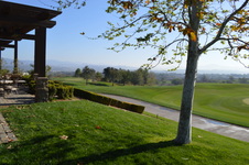 Enlarge photo 98