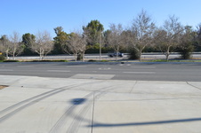 Enlarge photo 172