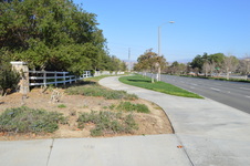 Enlarge photo 173