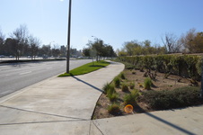 Enlarge photo 174