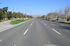 Enlarge photo 175