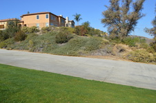 Enlarge photo 187