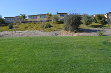 Enlarge photo 197