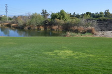 Enlarge photo 199