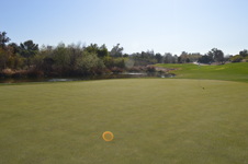 Enlarge photo 203