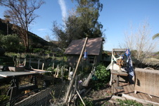 Enlarge photo 7
