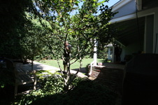 Enlarge photo 13