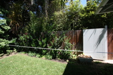Enlarge photo 19