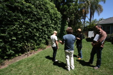 Enlarge photo 26