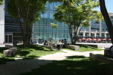 Enlarge photo 71