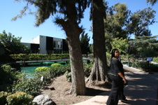 Enlarge photo 30