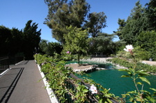 Enlarge photo 31