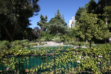 Enlarge photo 34