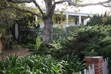 Enlarge photo 51