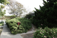 Enlarge photo 52