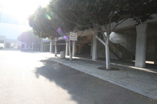 Enlarge photo 39