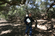 Enlarge photo 38