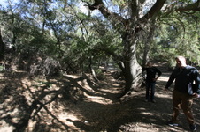 Enlarge photo 39