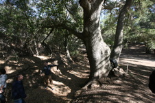 Enlarge photo 41