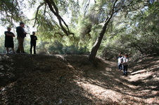 Enlarge photo 42