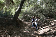 Enlarge photo 43