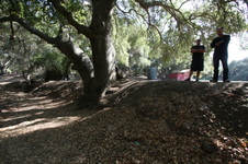 Enlarge photo 44