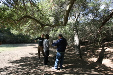 Enlarge photo 46
