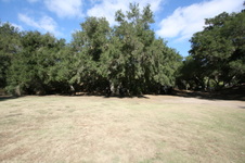 Enlarge photo 47