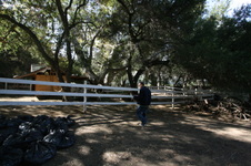 Enlarge photo 49