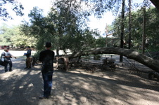 Enlarge photo 50
