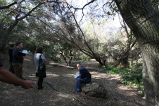 Enlarge photo 63