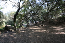 Enlarge photo 64