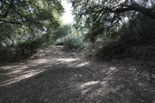 Enlarge photo 65