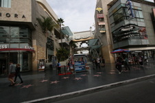 Enlarge photo 45